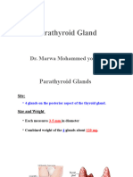 Parathyroid Hormones