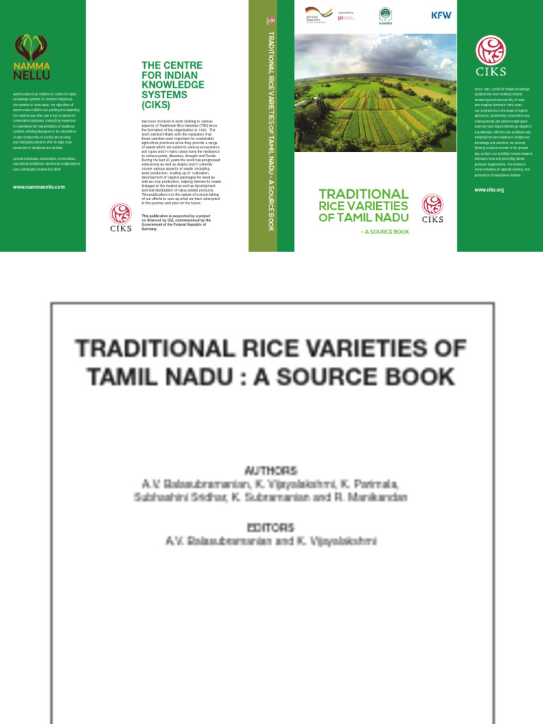 Traditional Rice Varieties of Tamil Nadu | PDF | Agriculture | Rice