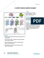 Structures of The Entire Human Opioid Receptor Fam