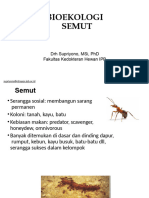Bioekologi Semut