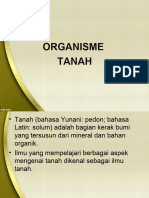 Organisme Tanah