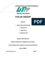 (Apa) Sim Focus Group Realizado