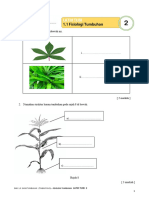 LAT 2 Unit 1.1 Fisiologi Tumbuhan
