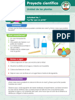 Unidad 4 - Las Plantas - Proyecto Científico