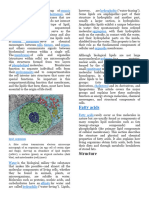 Fatty Acids: Structure