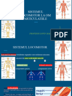 Sistemul Locomotor La Om Articulatiile 2