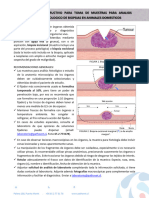 INSTRUCTIVO TOMA MUESTRAS HISTOLOGÍA MAMIFEROS Enero 20