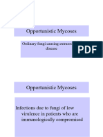20 Opportunistic Mycoses (Uyuyyymluluk Modu) - 151