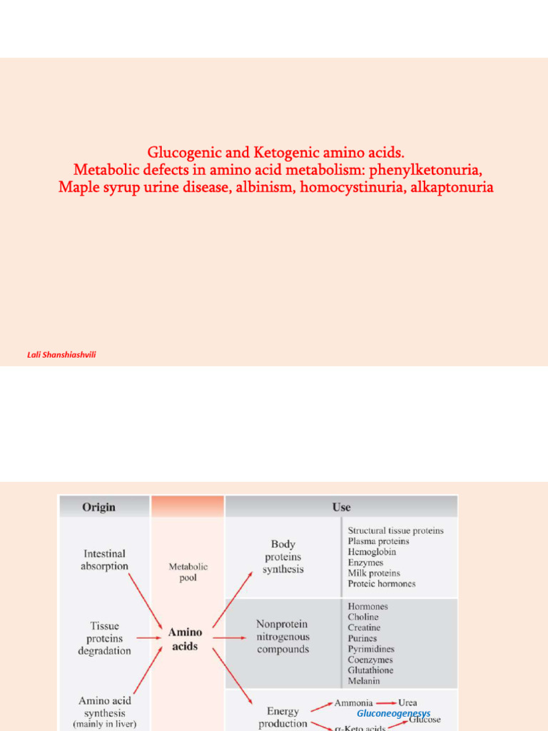 Glucogenic and Ketogenic Amino Acids. Metabolic Defects in Amino Acid ...