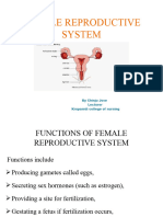 Female Reproductive System