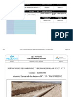 PL-PL-11 Informe Semanal Proyecto NEGRILLAR SEM-9 (08 de Enero Al 18 de Febrero) Rev. B