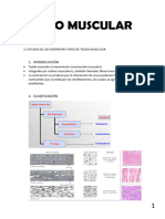 Tejido Muscular Estriado