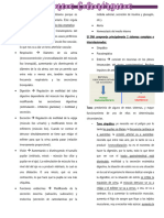 5 - Neurotransmision Colinergica