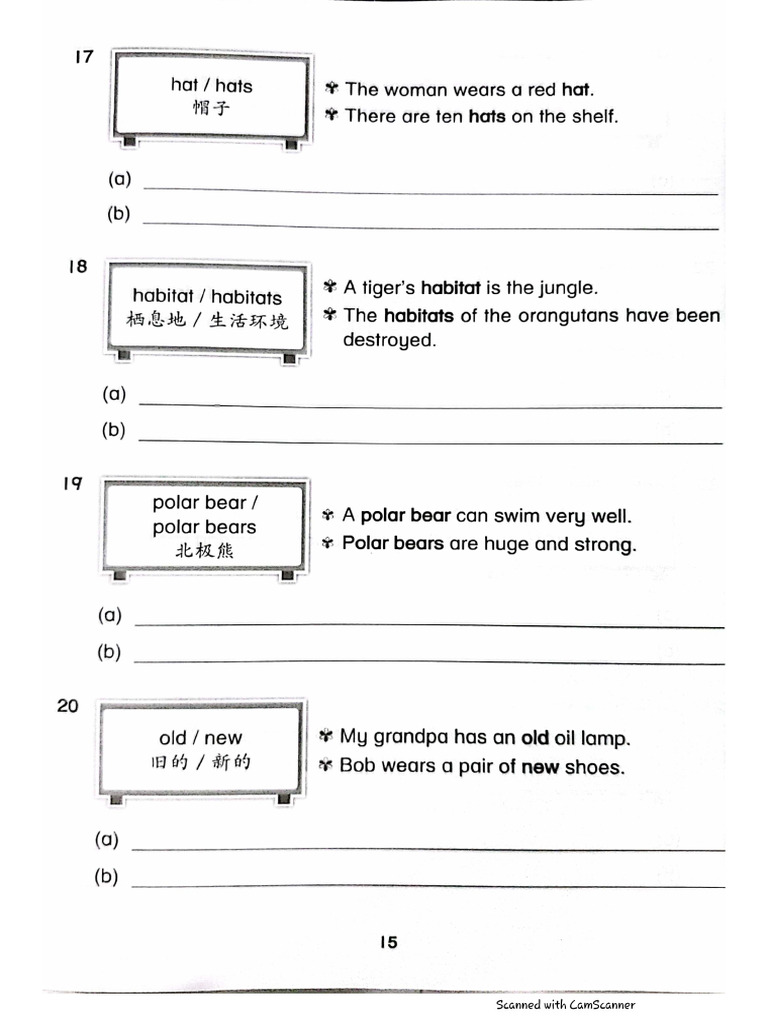 Making Sen | PDF