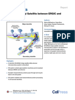 Golgi Outposts and Satellites in Neurons (4) - A Dendritic Golgi Satellite Between ERGIC and Retromer