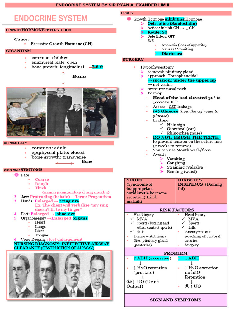 Endocrine system visual data 7