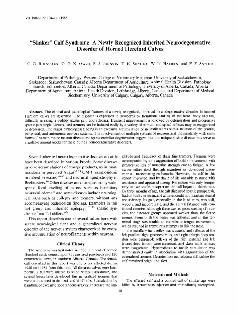Shakers Calf Syndrome PDF Axon Neuron