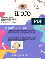 El Ojo Anatomia