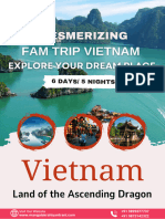 Vietnam Flyer Updated