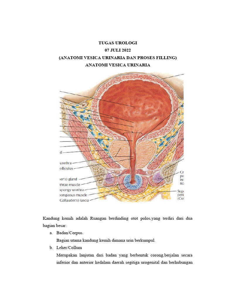 Tuzlangan karam va goshtli vinaigrette