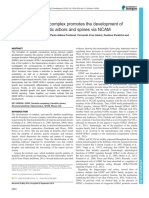 Paper Irala - El Complejo GDFN-GFRa1 Promueve Desarrollo de Dendritas en Hipocampo Vía NCAM
