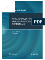 Amparo Colectivo en Las Provincias Argentinas