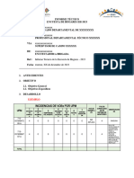 Formato de Informe para Encuestadores