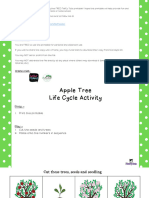 Apple Tree Life Cycle