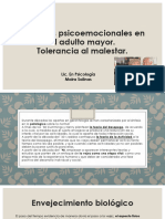 Accesibilidad y Cambios Psicoemocionales en El Adulto. Tolerancia Al Malestar.