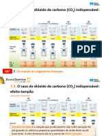 Eq12 - PPT - Caso CO2