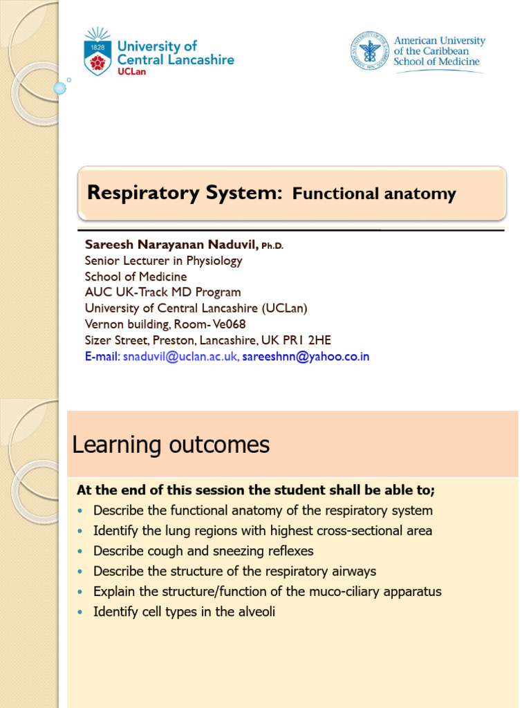 OLM. Respiratory System Functional Anatomy, Muscles and Pressure ...