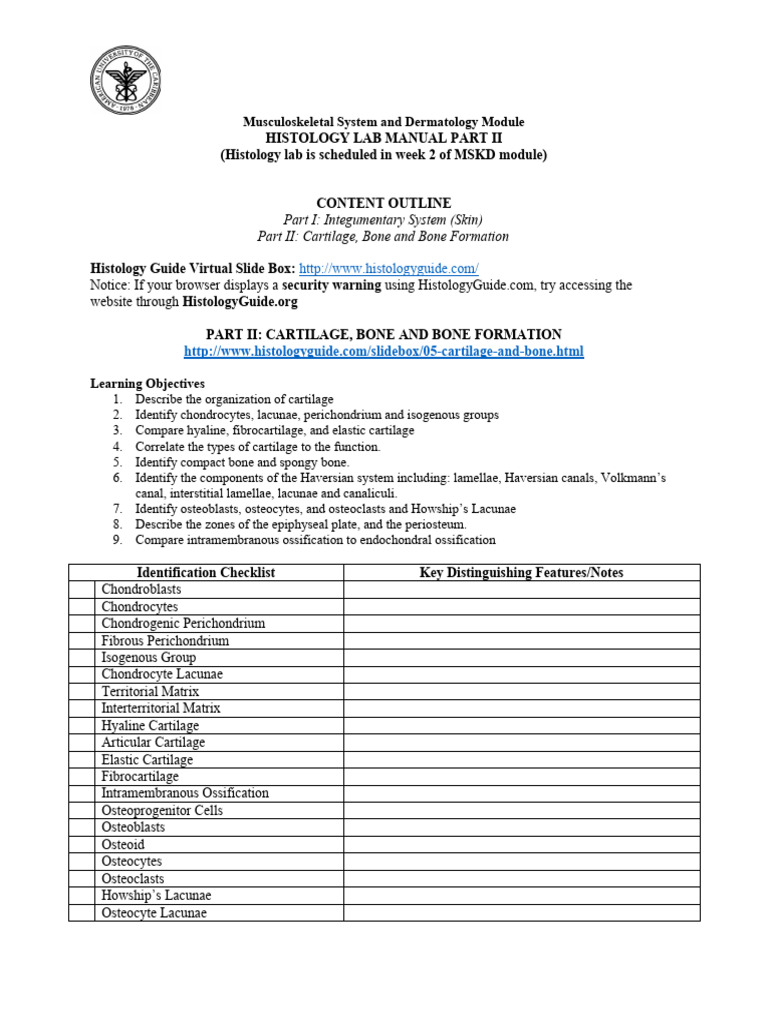 Histology of Cartilage, Bone and Bone Formation Lab Manual | PDF | Bone ...