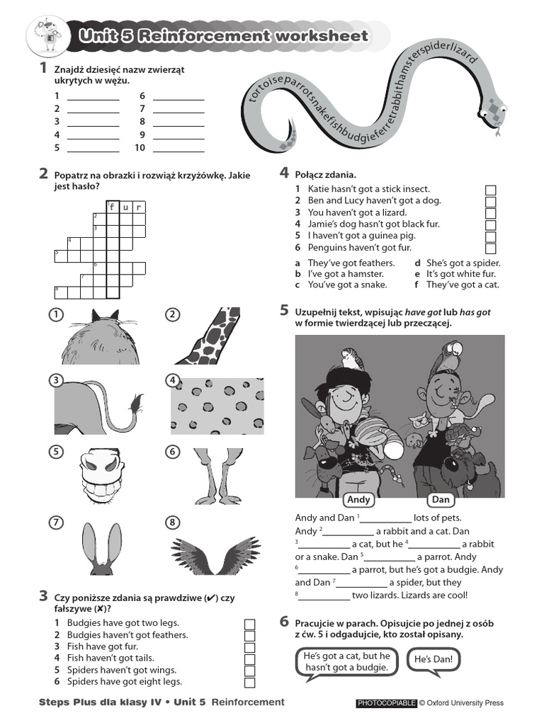 Wordwall Activities Klasa 4