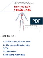 Hệ Tuần Hoàn: Sinh Lý Học Người