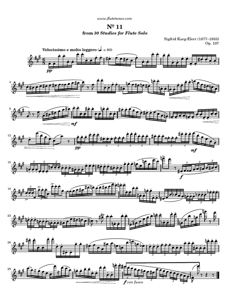 kargelert30studiesforflutesolono11 PDF