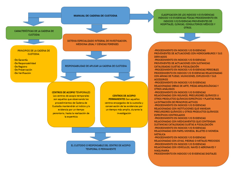 Mapa Mental | PDF | Cuidado de la salud | Medicina