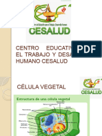 Centro Educativo para El Trabajo y Desarrollo Humano