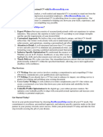 Professional CV Writing Format