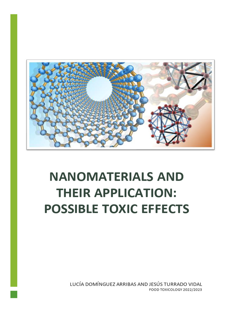 Nanomaterials in Food: Toxicity Risks | PDF | Nanotechnology | Nanoparticle