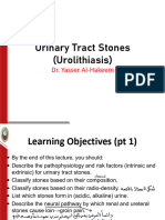 L4 - Urolithiasis 1
