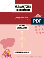 The Circulatory System Education Presentation in 0 Hand Drawn Lightly Textu - 20240315 - 115031 - 0000