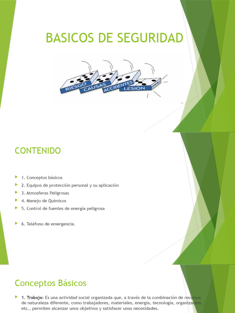 Basicos de Seguridad Isertec | PDF | Riesgo