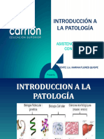 SEM. 1 Patologia