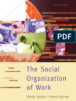 Hodson The - Social - Organization - of - Work