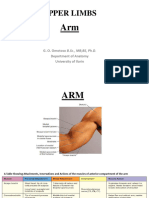 Upper Limbs Arm Cubital Forearm Wrist Hand 2023 Figures
