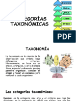 Clase Categorias Taxonomicas