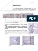 Fisiologia_del_parto Dra. Moreno R1