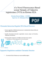 Development of A Novel Fluorescence-Based Strategy To Screen