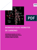 Biomolecula Hidratos de Carbono.2022