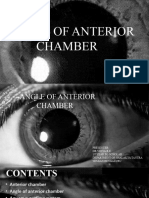 Angle of Anterior Chamber.